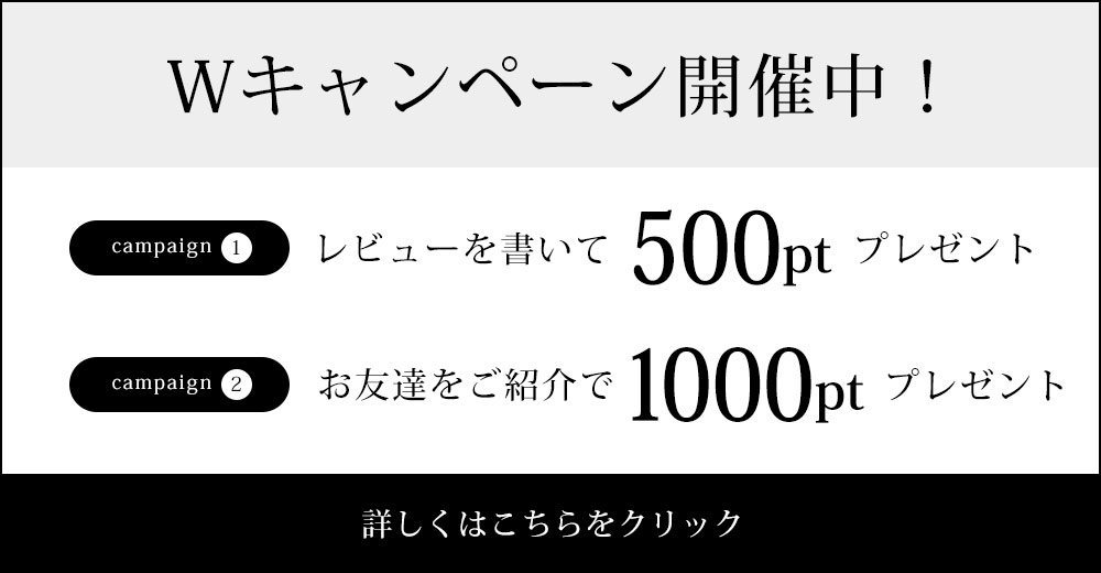 レビューを書いて500ポイントプレゼント!!