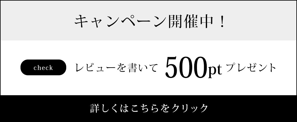 レビューを書いて500ポイントプレゼント!!