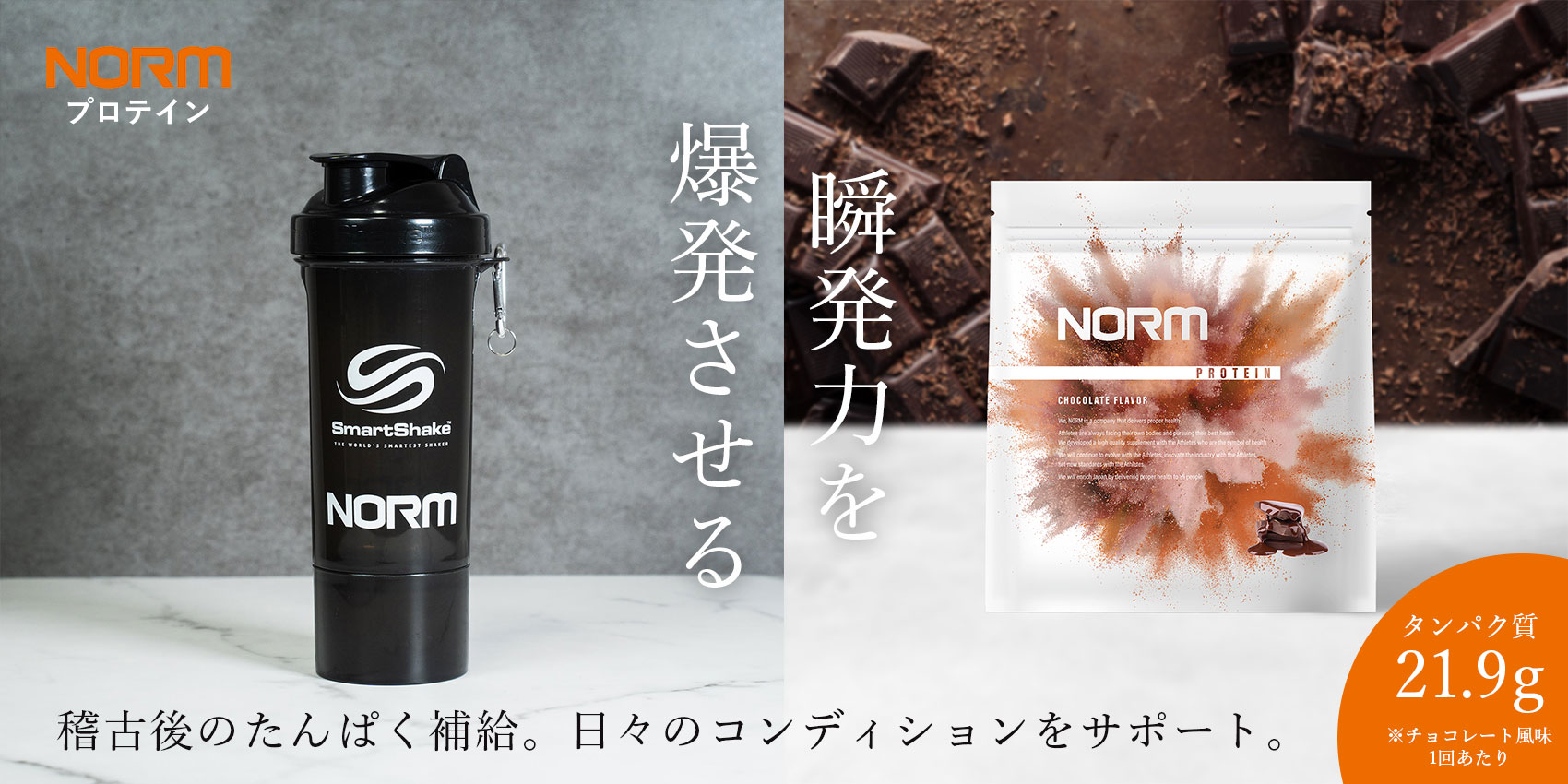 NORM プロテイン